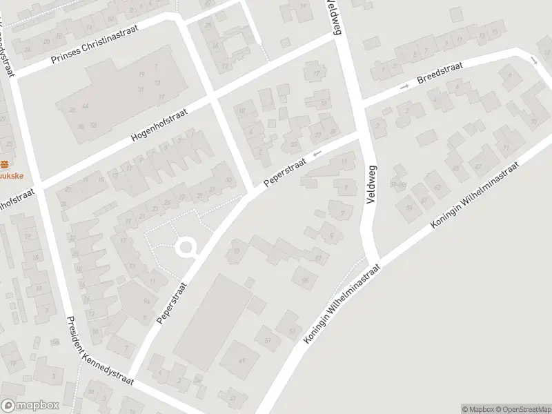 Politie naar de Voorstraat in Hedel vanwege aanrijding met letsel