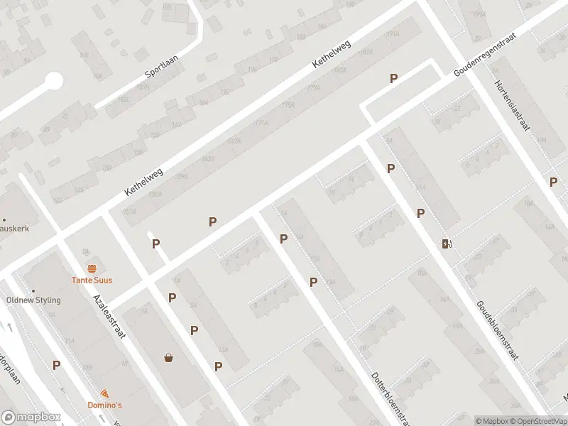 Ambulance met gepaste spoed naar de Dotterbloemstraat in Vlaardingen