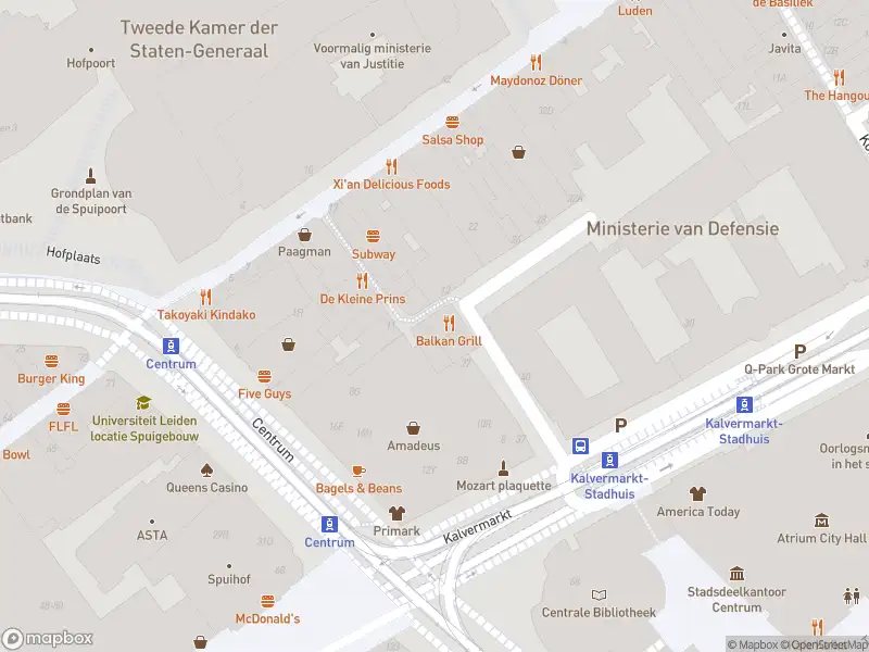 Ambulance met gepaste spoed naar de Bagijnestraat in 's-Gravenhage