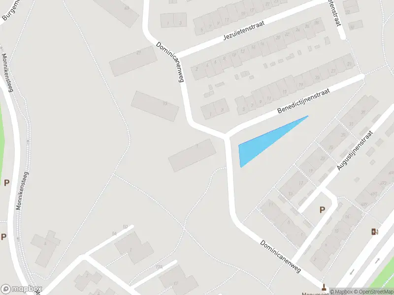 Overlastmelding Dominicanenweg in Arnhem