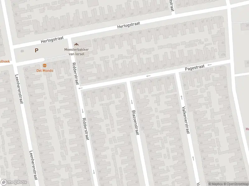 Overlastmelding Blazoenstraat in Tilburg