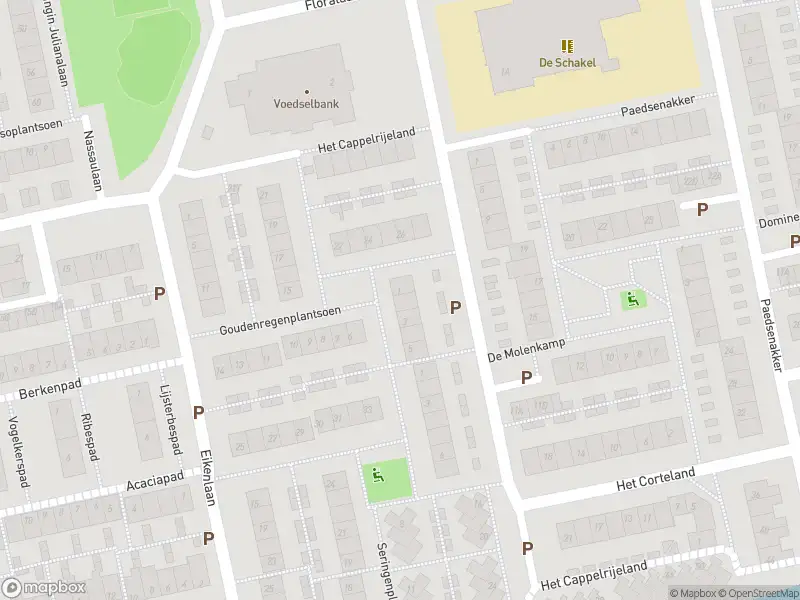 Overlastmelding Goudenregenplantsoen in Rijnsburg