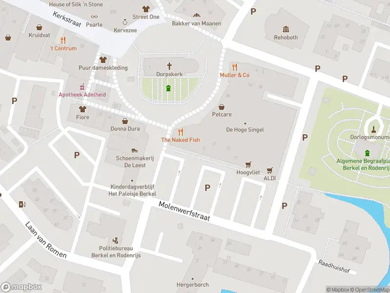 Ambulance met gepaste spoed naar de Molenwerfstraat in Berkel en Rodenrijs