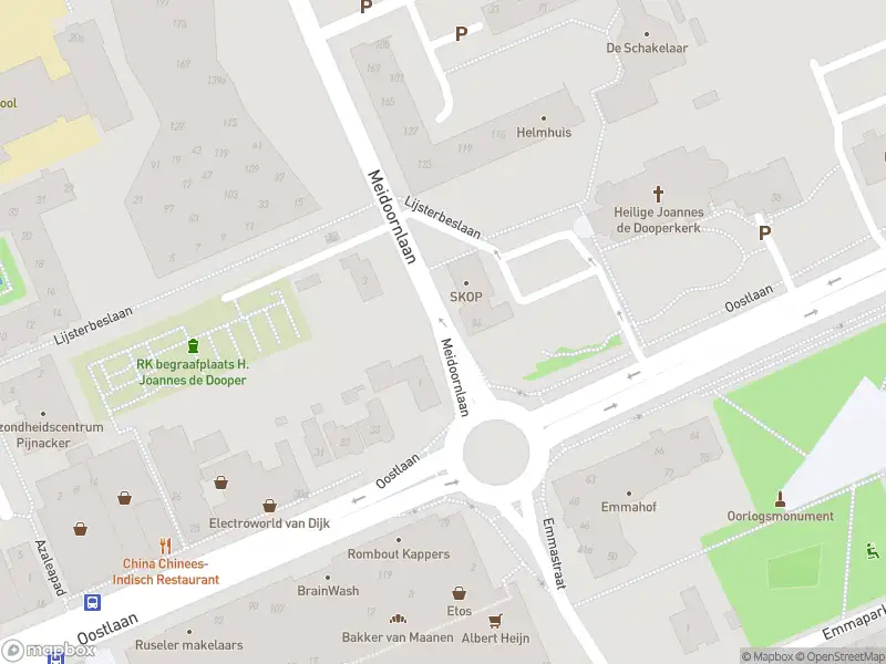 Ambulance met grote spoed naar de Meidoornlaan in Pijnacker