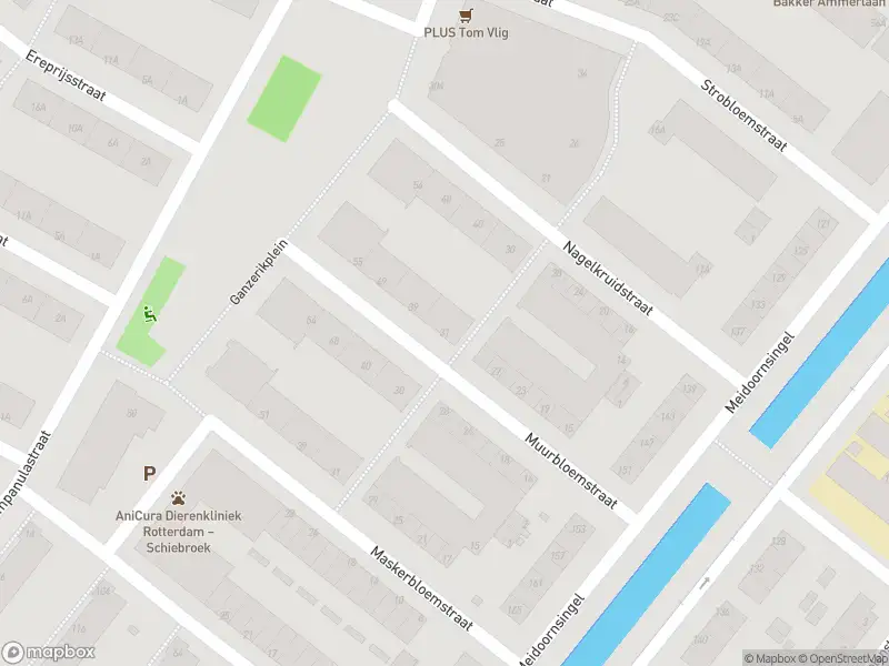 Ambulance met grote spoed naar de Muurbloemstraat in Rotterdam