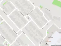 Overlastmelding Moerbeibloesem in Doetinchem