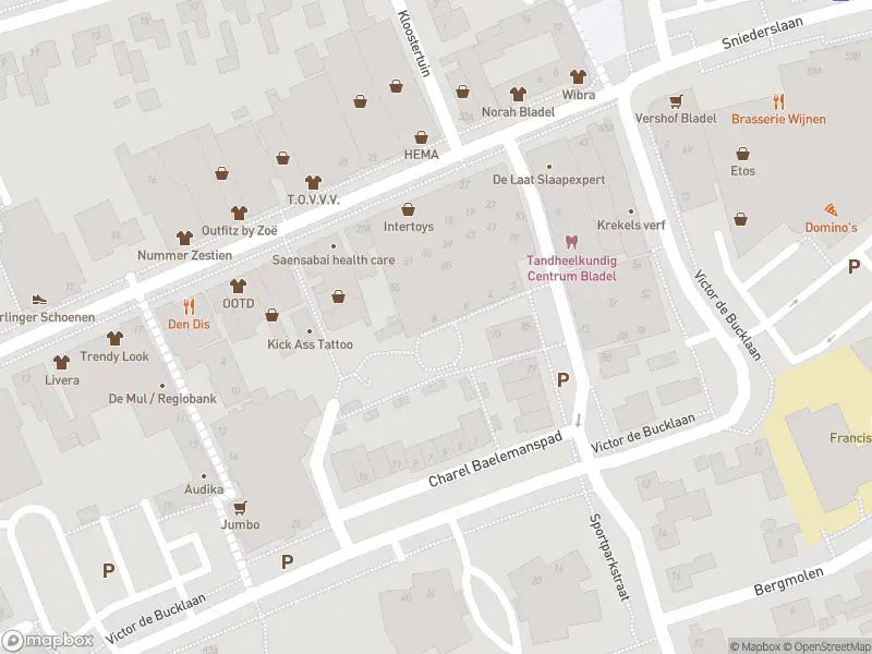 112 melding Brandweer met gepaste spoed naar de Victor de Bucklaan in Bladel vanwege afhijsen patient