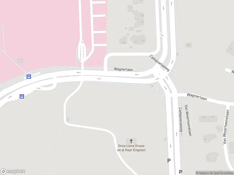 Overlastmelding Cattepoelseweg in Arnhem