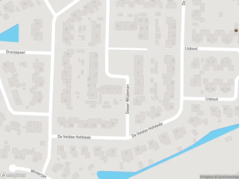 Overlastmelding Gieser Wildeman in Zetten gesloten