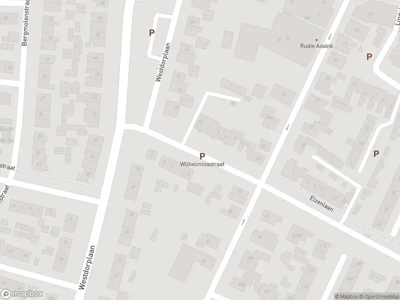 Politie naar de Wilhelminastraat in Raalte vanwege aanrijding met letsel