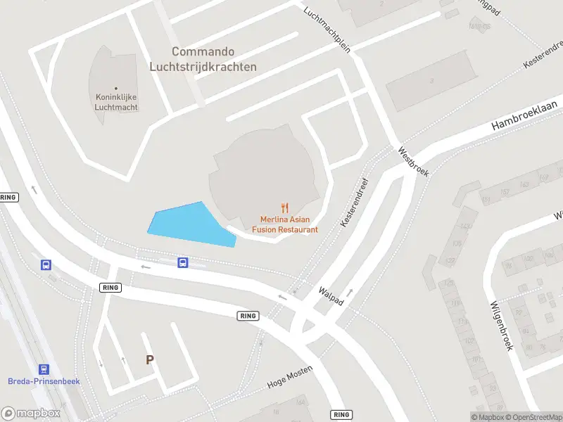 Brandweer met grote spoed naar de Hambroeklaan in Breda vanwege voertuigbrand