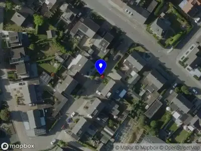 Brandweer met gepaste spoed naar de Looierijstraat in Budel