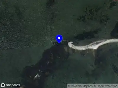 Politie naar de Oosterweg in Ouddorp vanwege dier(en) in nood