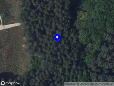 Brandweer met gepaste spoed naar de Dorpsstraat in Woensdrecht