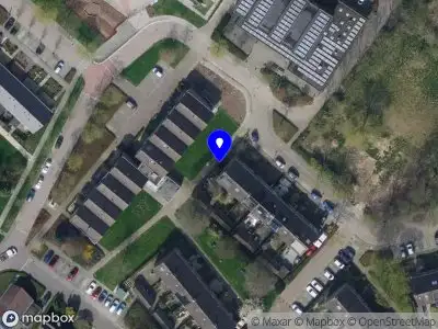 Overlastmelding Fazant in Maasdam