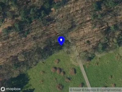 Politie naar de Wolfhezerweg in Wolfheze vanwege aanrijding met letsel