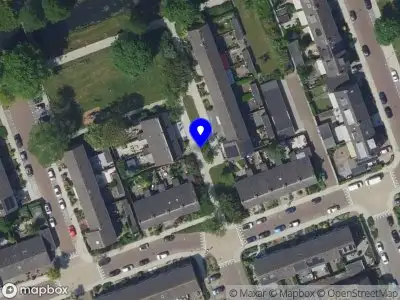 112 melding Overlastmelding Kappeyne van de Coppelloplantsoen in Zwijndrecht