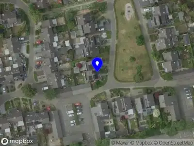 112 melding Overlastmelding Peereboom in Melick