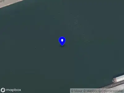 Brandweer met grote spoed naar de Putselaan in Rotterdam vanwege afhijsen patient