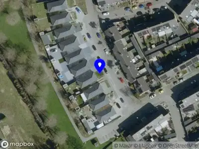 Overlastmelding Vogelkers in Best