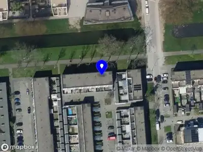 Politie naar de Carlo Collodihof in Rotterdam vanwege dier(en) in nood