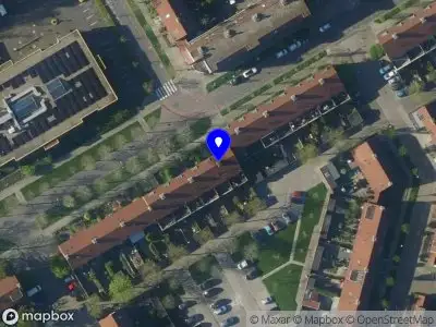 112 melding Overlastmelding Koolmees in Hoorn