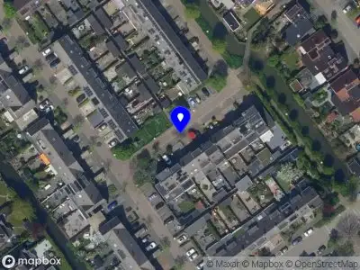 Overlastmelding Maagdenpalm in Breukelen