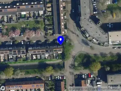 Overlastmelding Zilvermeeuw in Noordwijk