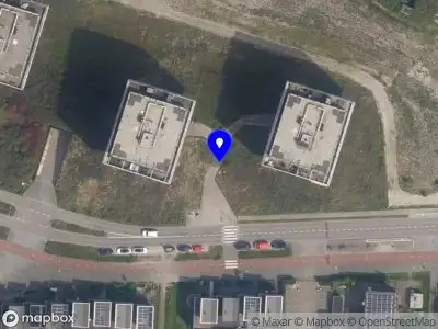 Politie naar de Strandweg in Hoek van Holland vanwege dier(en) in nood