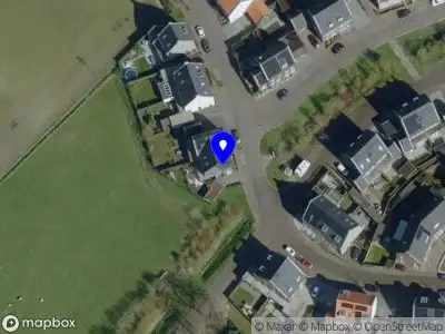 Overlastmelding Bomenbeemd in Best