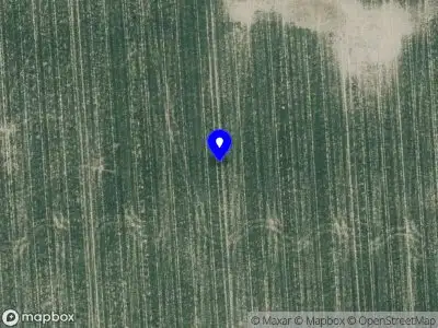 Overlastmelding Zwanegatsedijk in 3299LT Maasdam