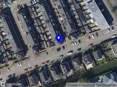 Overlastmelding Boterbloem in Hendrik-Ido-Ambacht