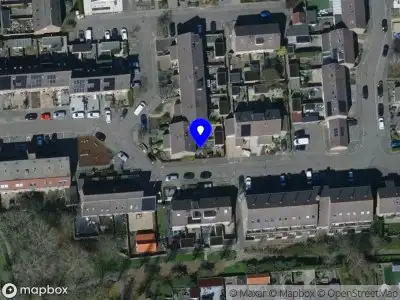 Overlastmelding Kluut in 3245TC Sommelsdijk