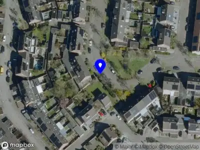 Overlastmelding Weegbree in Best