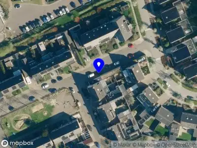 112 melding Overlastmelding Pinksterbloem in Brummen