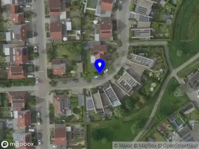 Ambulance met grote spoed naar de Banmolen in Herten