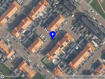 Ambulance met gepaste spoed naar de Hank in Poeldijk