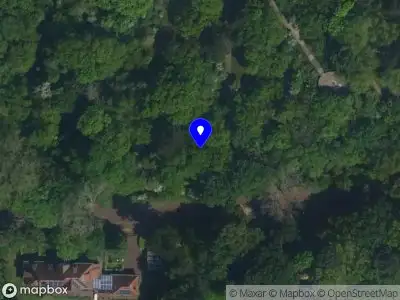 Brandweer met gepaste spoed naar de Bloemendaalseweg in Bloemendaal vanwege stormschade