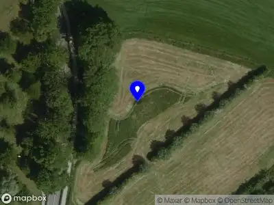 Brandweer met grote spoed naar de Hilleshagerweg in Mechelen vanwege gebouwbrand