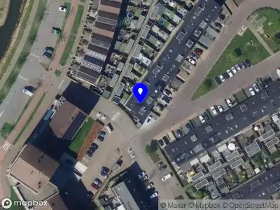 Overlastmelding Meerval in Hendrik-Ido-Ambacht