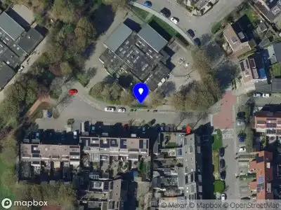 Overlastmelding Aalscholver in Oud-Beijerland