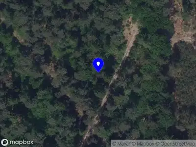 Brandweer met gepaste spoed naar de Scherpenbergsebaan in Schijf