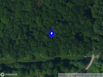 Overlastmelding Hondsdraf in Lelystad