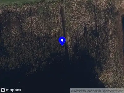 Brandweer met gepaste spoed naar de Haadwei in De Falom vanwege dier(en) in nood