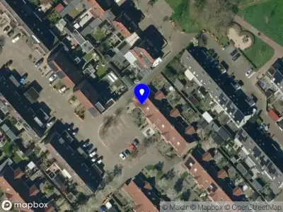 Overlastmelding Moerbeibloesem in Doetinchem