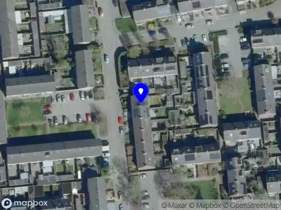 Overlastmelding Delphinus in Loon op Zand