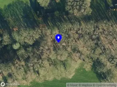 Brandweer met gepaste spoed naar de Brinkweg in Dalfsen