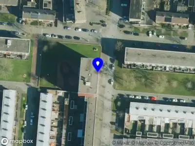 112 melding Brandweer met gepaste spoed naar de Klimopstraat in Hengelo vanwege dier(en) in nood