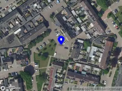 112 melding Overlastmelding Speenkruid in Werkendam