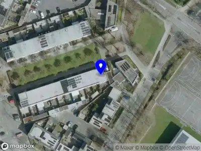 Overlastmelding Boomleeuwerik in Goirle